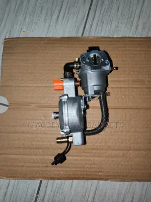 Gas And Petrol Carburettor For Generators
