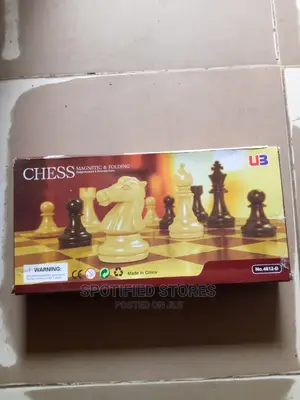 Black and White Chess Game