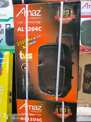 Amaz 12 Inches Pa System