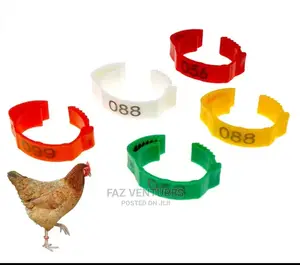 Bird Leg Tags 16mm (100 Pieces)