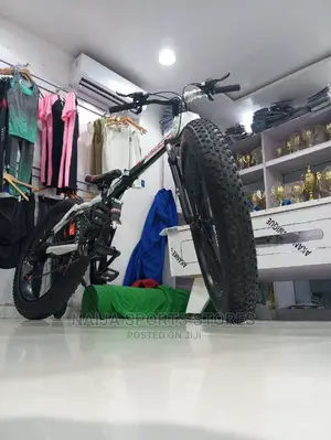 Big Bike/Bicycle