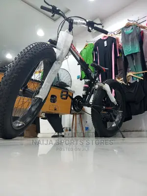 Biggest Bike
