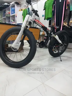 Big Foldable Bike