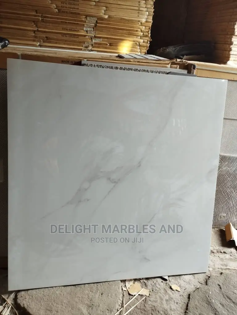 Imported Tiles 120 ×60