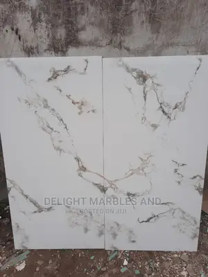 Imported Tiles 120 ×60