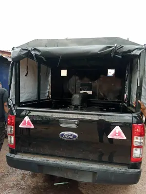 Ford Back Cover With Tapoling