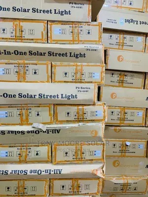 60w P2 Felicity Solar Street Lights