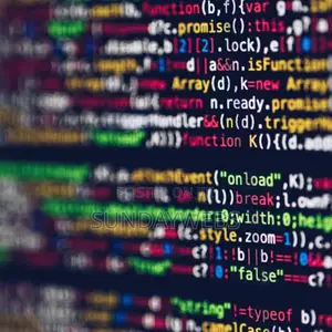 Flutter Mobile App Developer