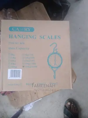 100kg Camry (Analogue) Hanging Scale