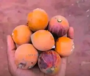 Cherry or African Star Apple.