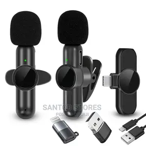 3 in 1 Wireless Microphone