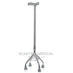 4 Leg Walking Stick