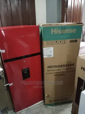 Fast Selling Hisense Double Door Ref205drb+Water Dispenser