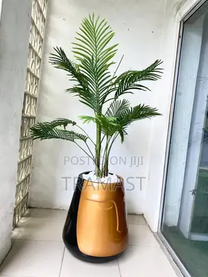 Palm Plant and Fiberglass Pot Combo