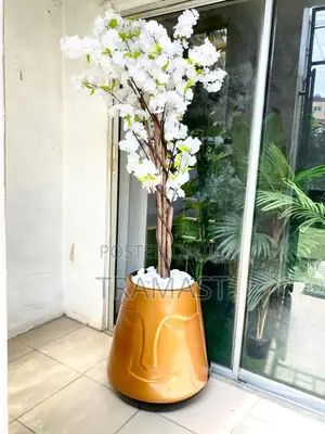 Cherry Blossom Plant With Fiberglass Pot