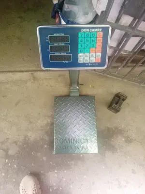 100kg Cammry Scale Heavy Duty