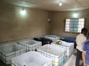Catfish Breeding , Managements, Sales and Consultation