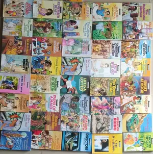 Pacesetters Novel Collection (5books)