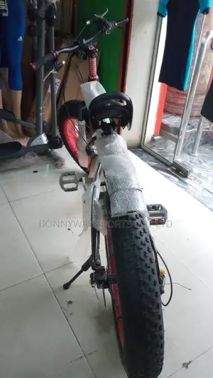 Children Big Tires Riding Bicycle