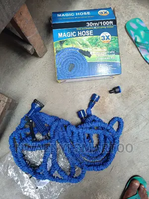 30m Magnetic Host