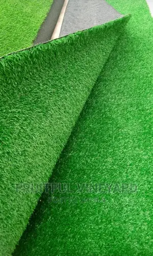 Artificial Grass