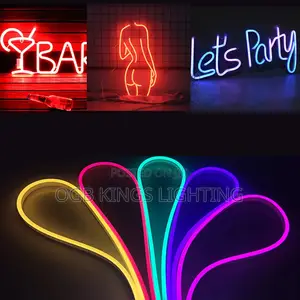 5M 12V Neon Light Strip LED SMD 2835 120led/Lp67 Waterproof