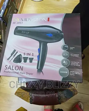 Professional Hair Dryer.