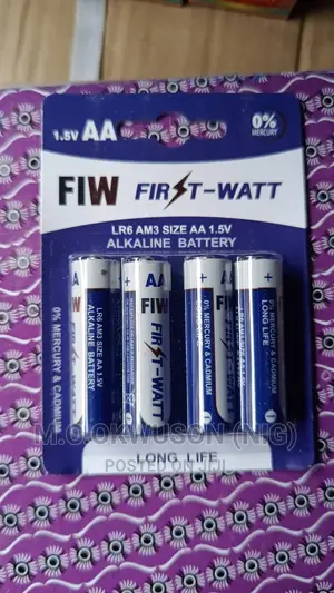 AA First Watt Alkaline Batteries,