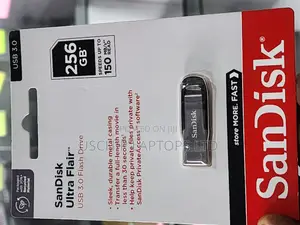 Sandisk Flash Drives