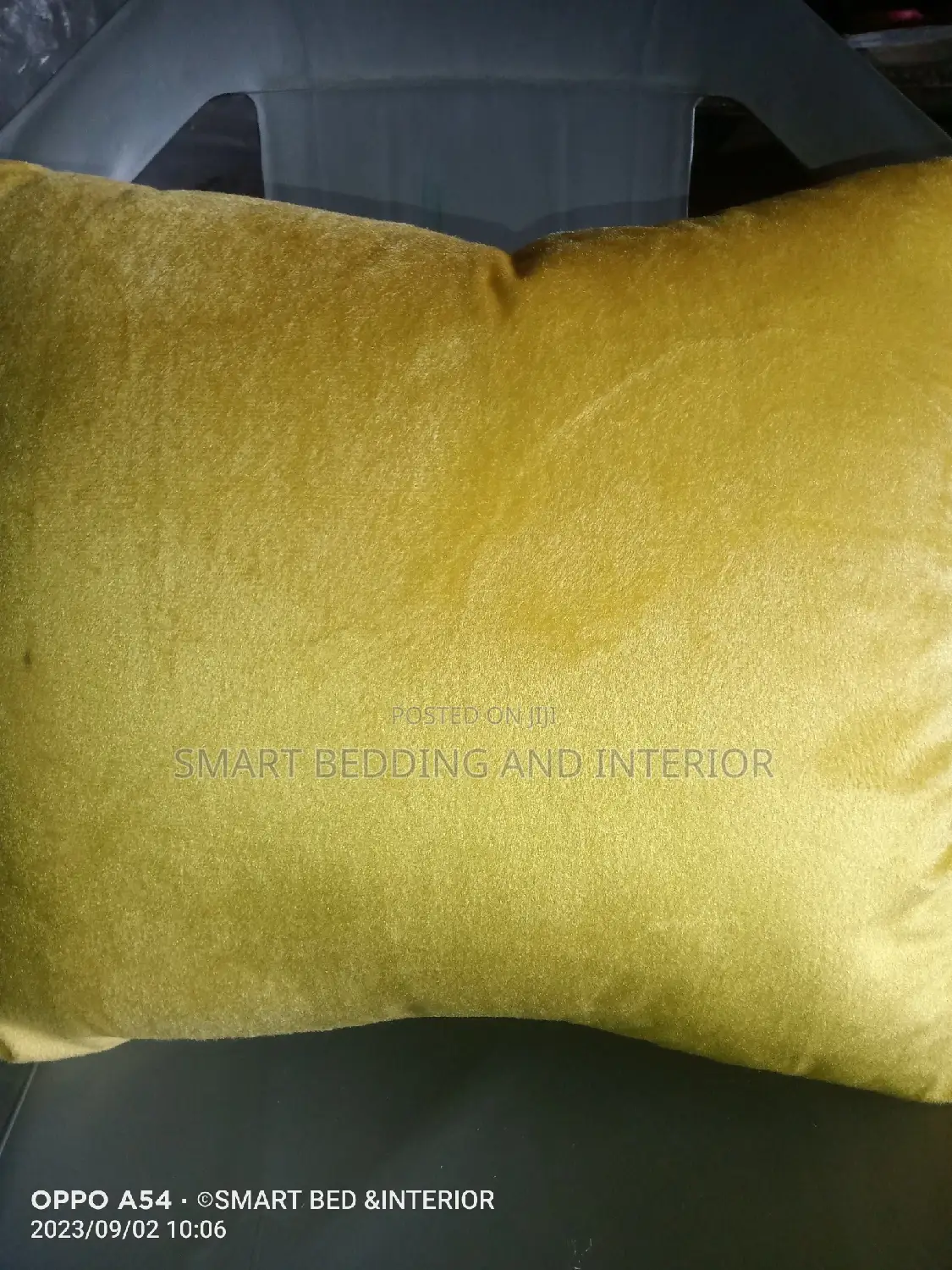 Throw Pillows
