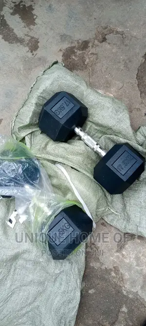 A Pair of 17.5kg Hex Dumbbell