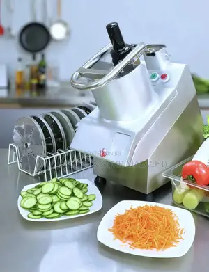 Electric Multi Purpose Food Processor/Slicing Machine (5b)