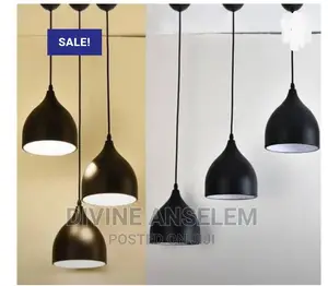 Single Dropping Light Pendant Light