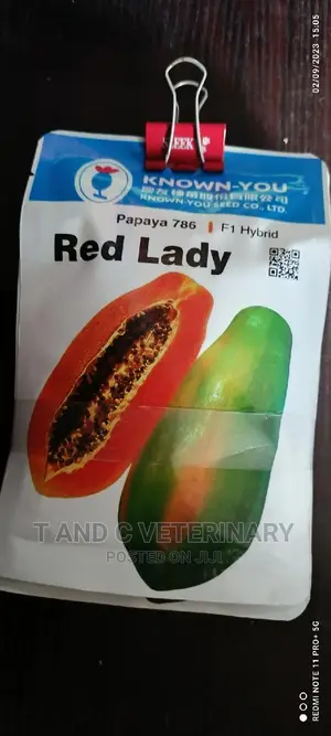 Papaya Pawpaw Seed Red Lady 1g