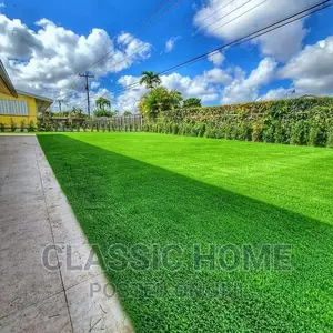 Original Green Turkish Grass