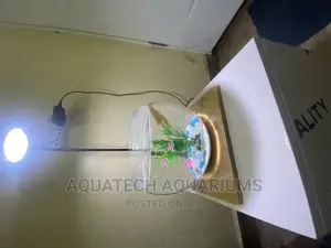Fish Bowl With Light