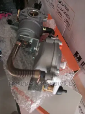 Conversation of Petrol Generator to Gas Generator