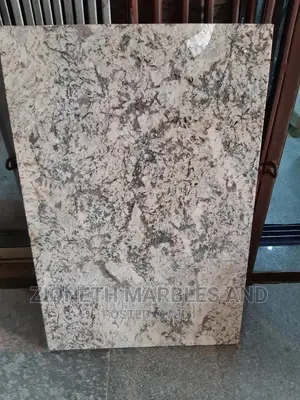 Granite/Marble Floor Tiles and Wall