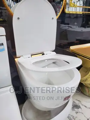 Conceal Tank And Wall Wc Sit