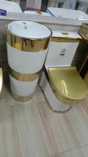 White And Gold Watercloset