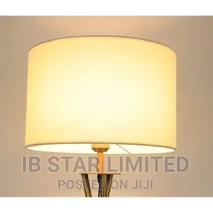 Luxury Home Decor House Floor Lamp Light Free Delivery