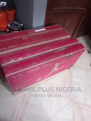 Powerful LG 43 Inches Smart Frameless TV