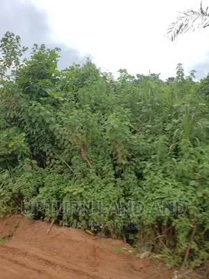 150 Acres Along Lagos Expressway, Close to Technical Univers
