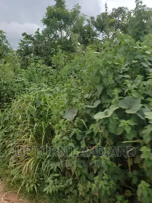5 Acres Opposite First Technical University, Lagos-Ibadan Ex
