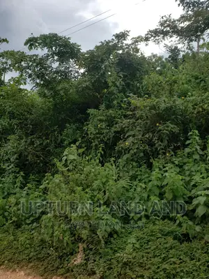 8 Acres Direct Opposite British American Tobacco Company.