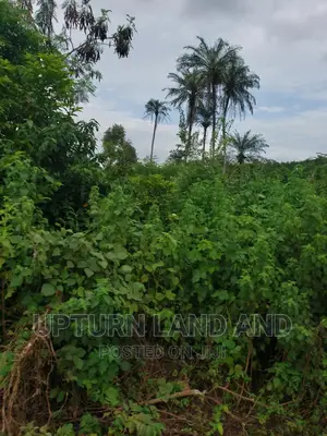7.7 Acres of Land at Along Ijebu Ode Road, Onipe Ibadan