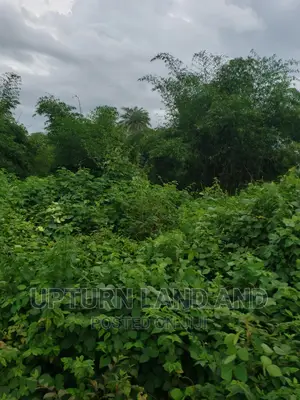 300acres of Land Along Old Lagos-Ibadan Expressway, Ibadan