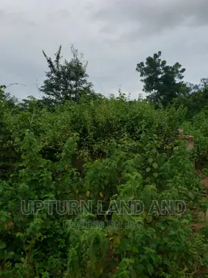 5 Acres of Land Opposite Technical University, Lagos-Ibadan