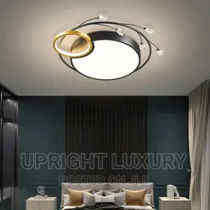 LED Ceiling Fittings/Flux Lights