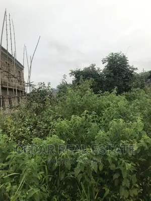 A Plot of Land Behind Brymor Hotel Agunbelewo